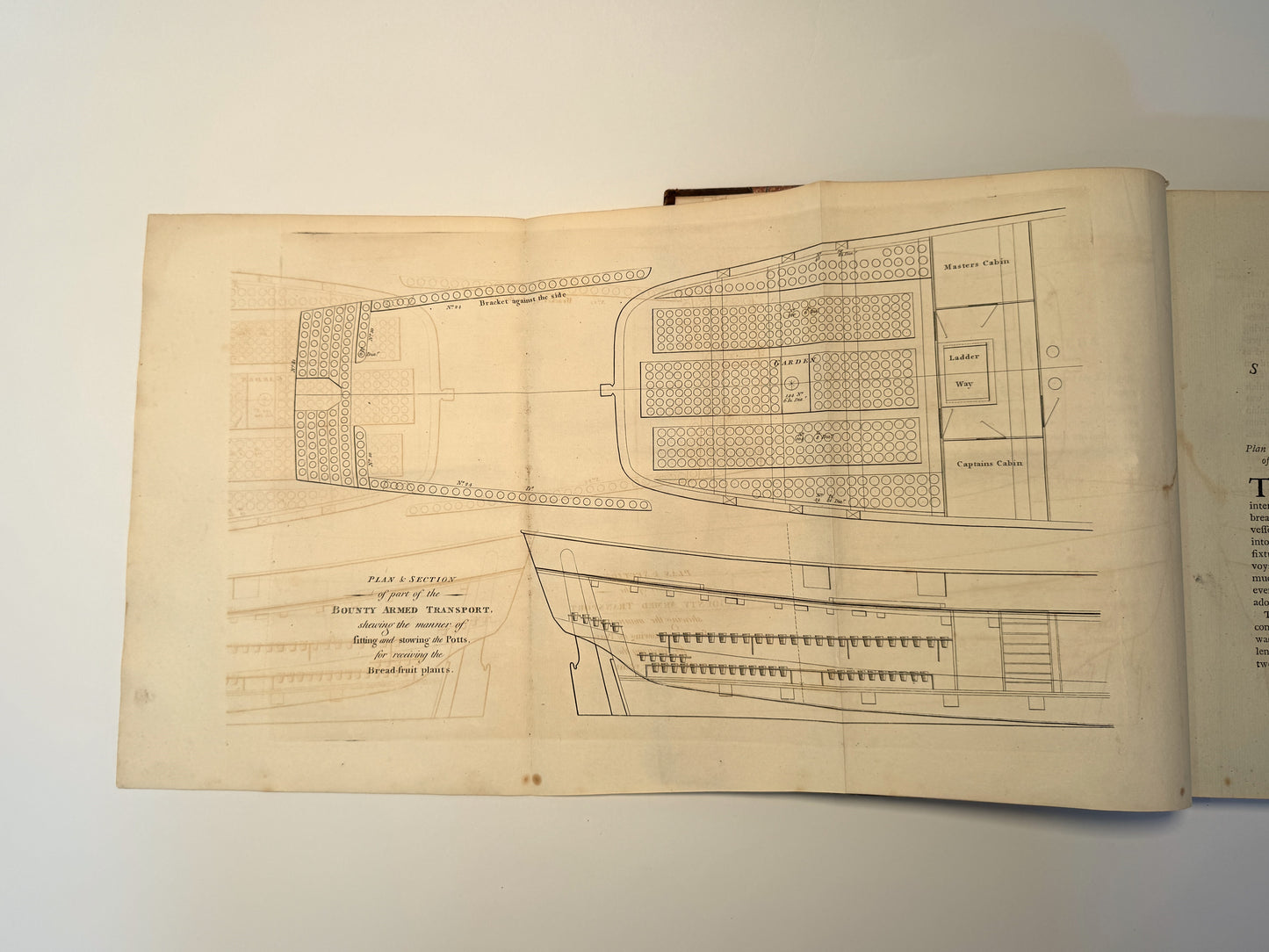A Voyage to the South Sea | 1792, First edition of Bligh's account of the voyage which led to the famous Mutiny on the Bounty.