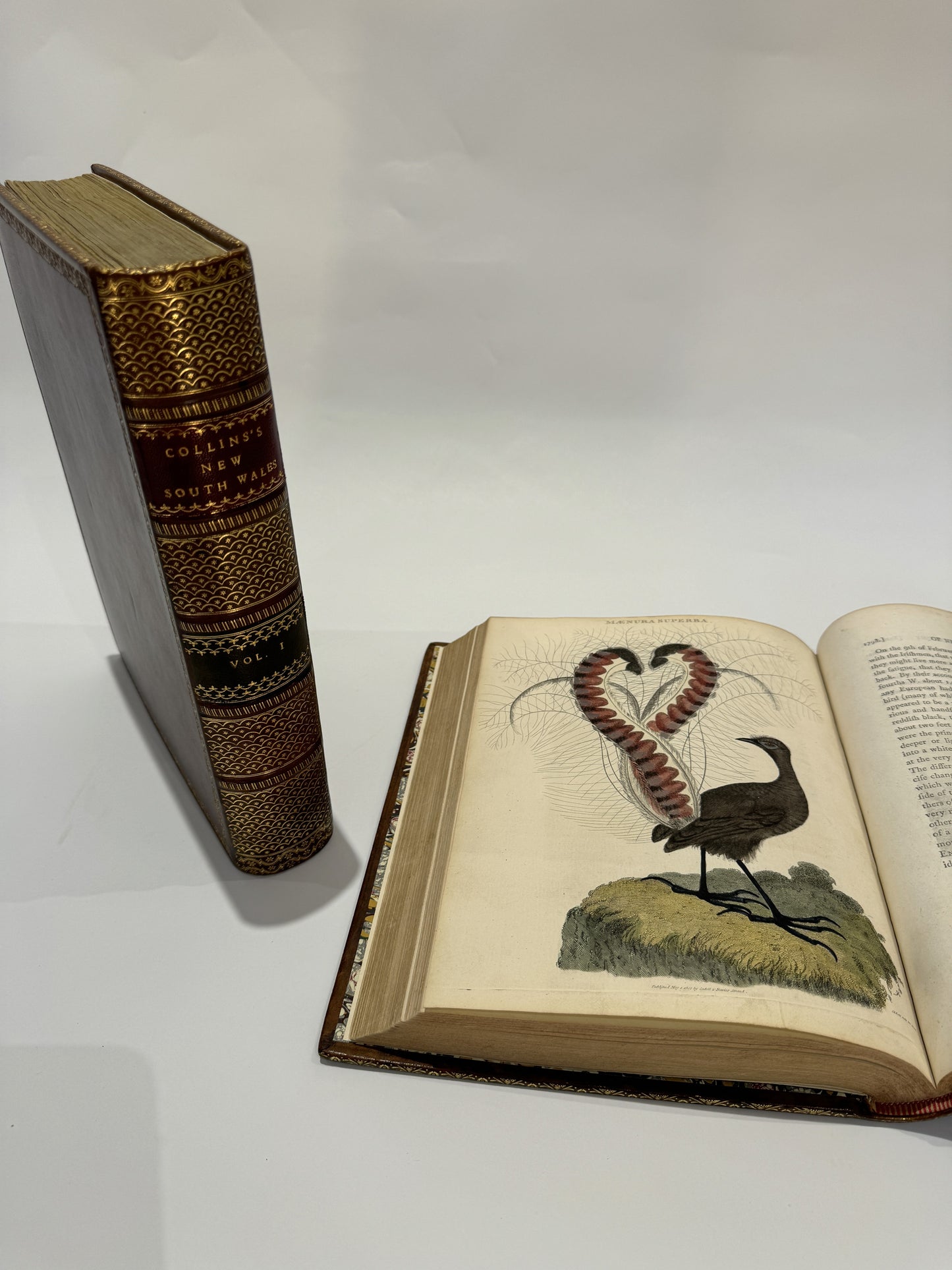 An Account of the English Colony in New South Wales | 1798 - 1804, first edition of the earliest historical account of Australian settlement