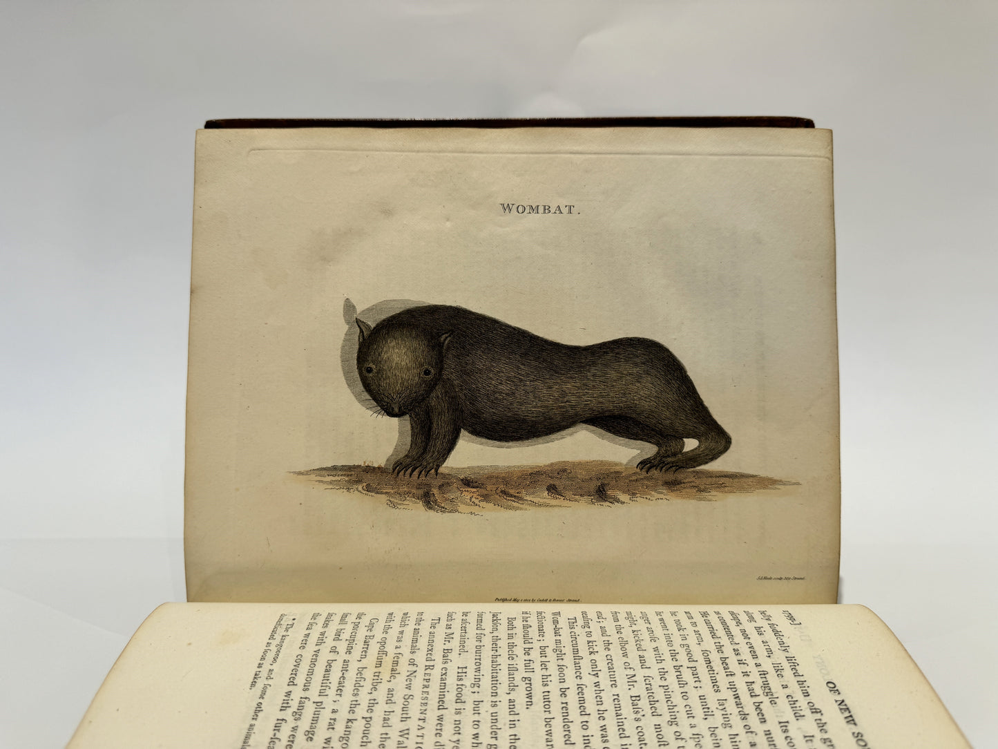 An Account of the English Colony in New South Wales | 1798 - 1804, first edition of the earliest historical account of Australian settlement