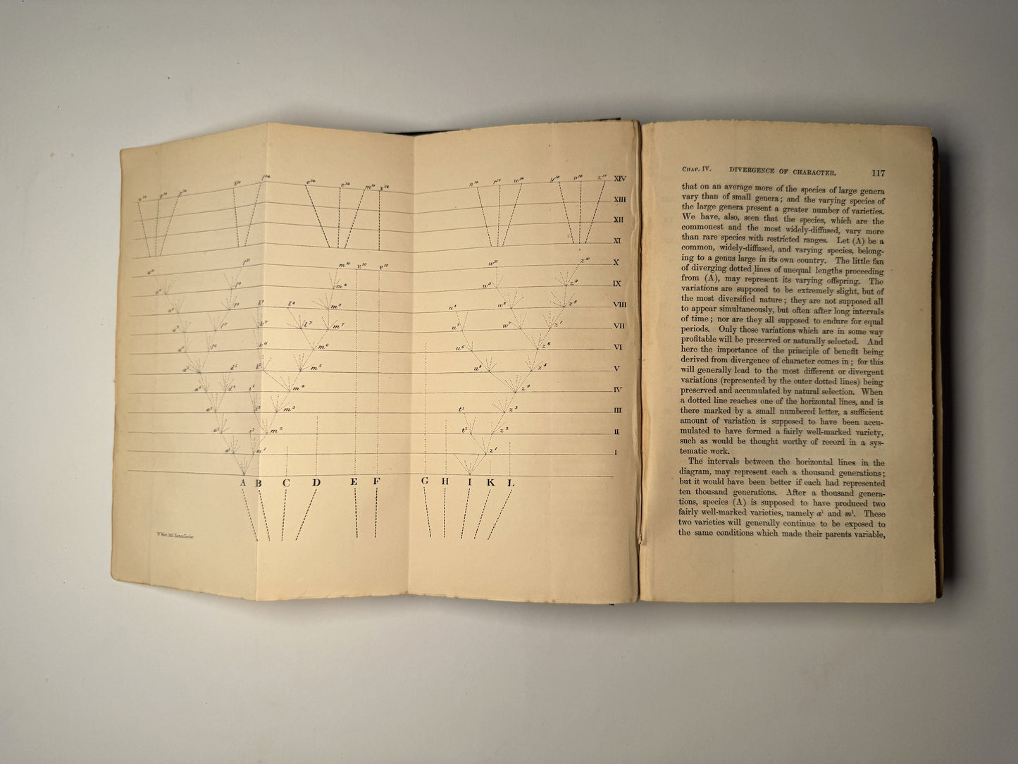 On The Origin of Species by Charles Darwin