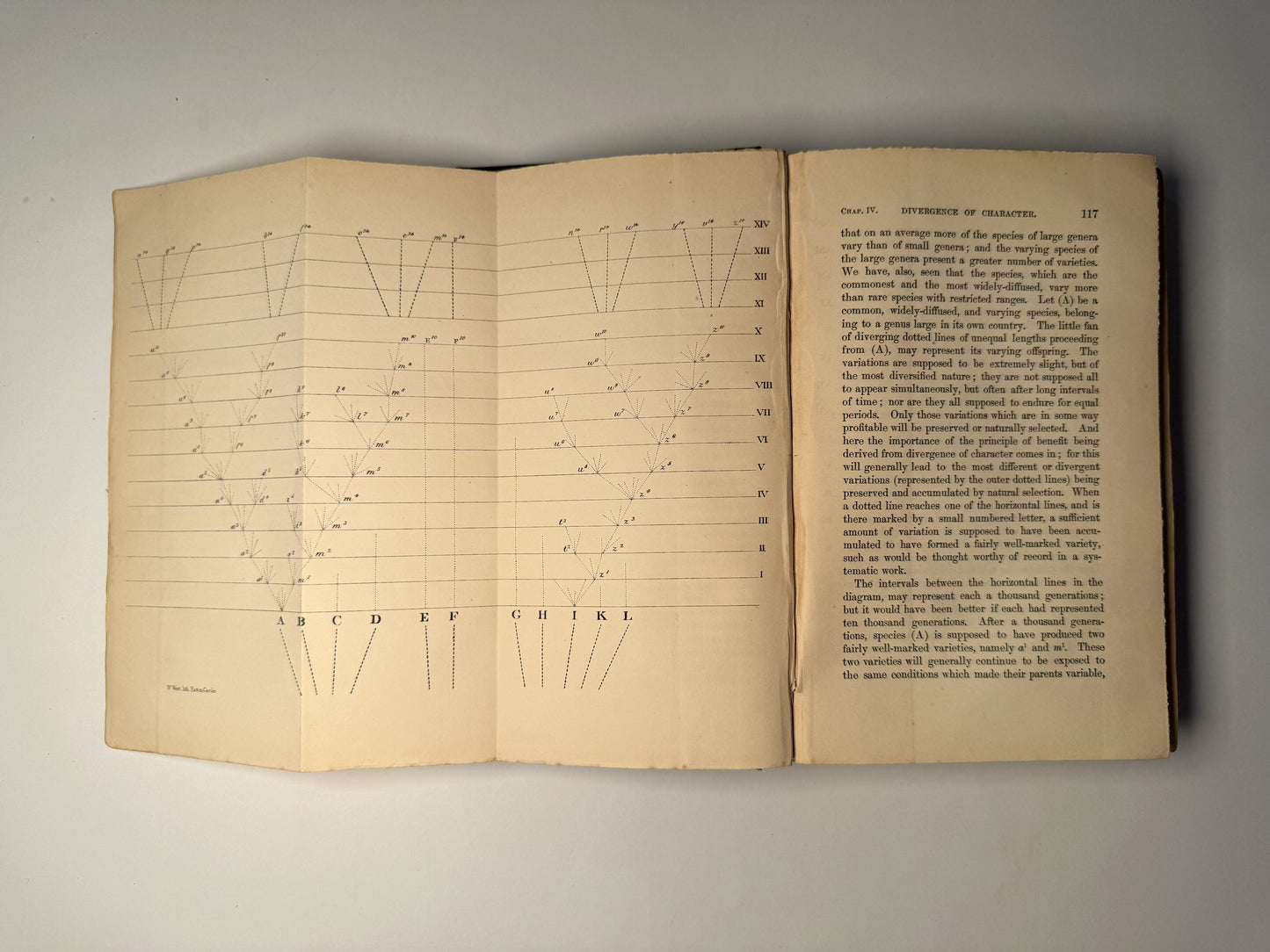 On The Origin of Species by Charles Darwin