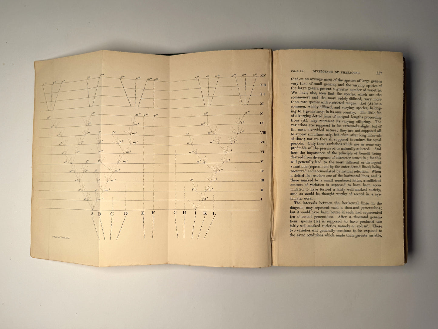 On The Origin of Species by Charles Darwin