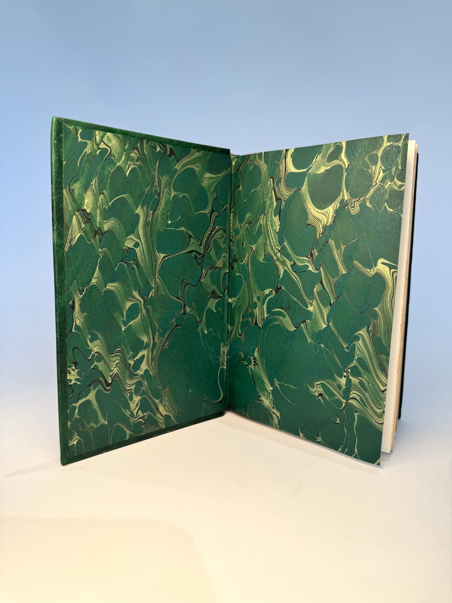 Nineteen Eighty Four by George Orwell in Luxurious Royal Green Morocco Design Binding