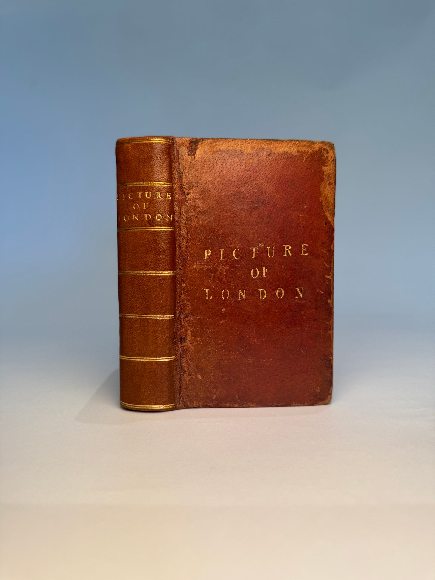 The Picture of London for 1802 Being A Corrected Guide to Curiosities, Amusements, Exhibitions, Public Establishments, and Remarkable Objects, in and near London