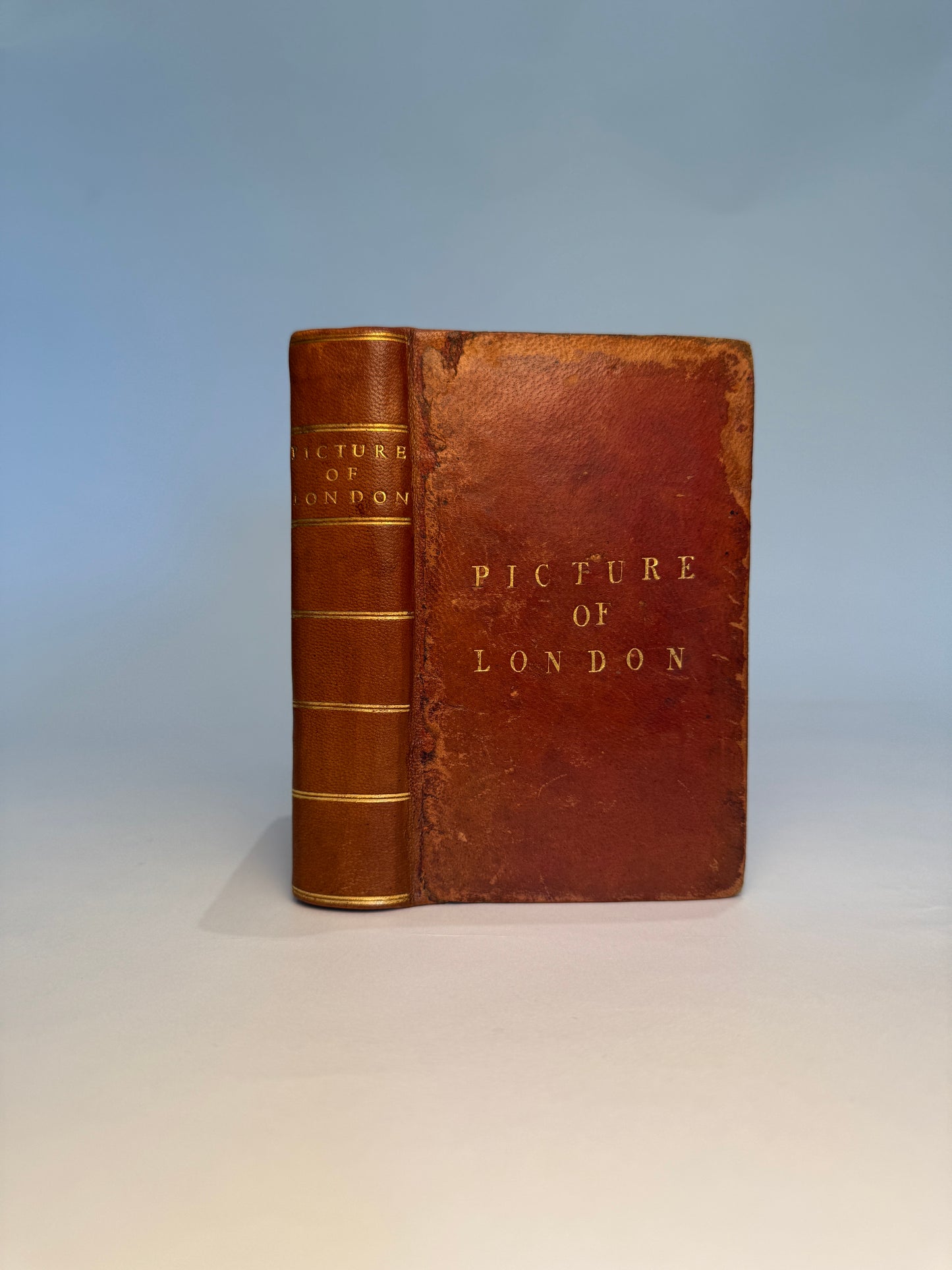 The Picture of London for 1802 Being A Corrected Guide to Curiosities, Amusements, Exhibitions, Public Establishments, and Remarkable Objects, in and near London