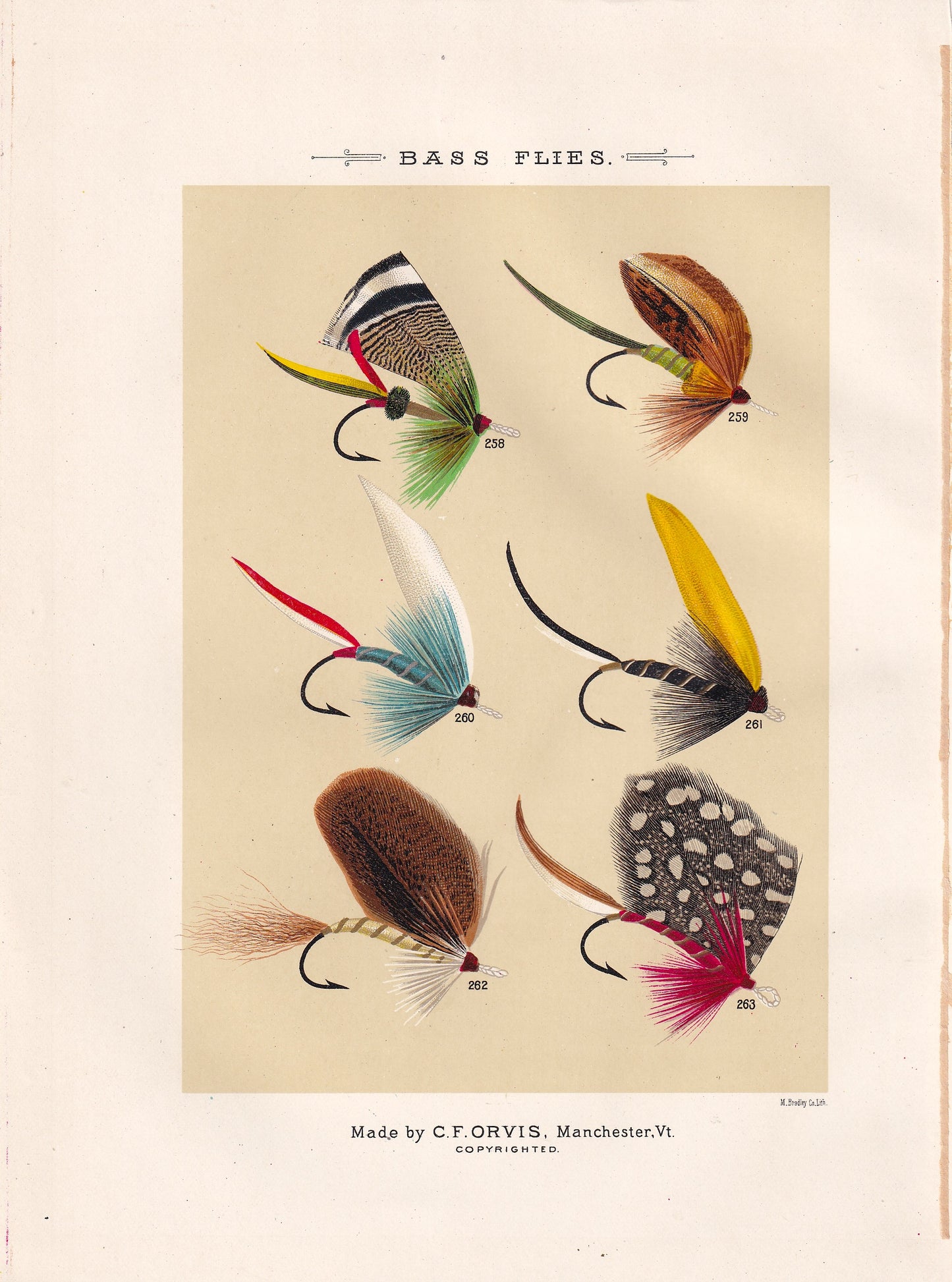 Bass Flies 258