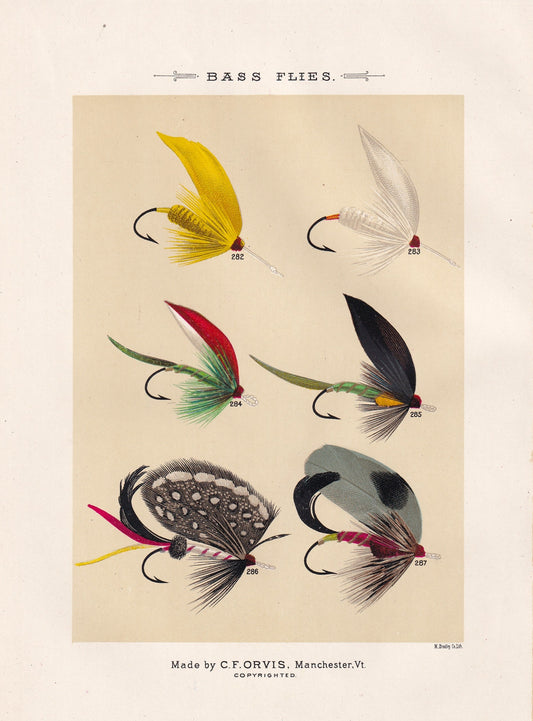 Bass Flies 282