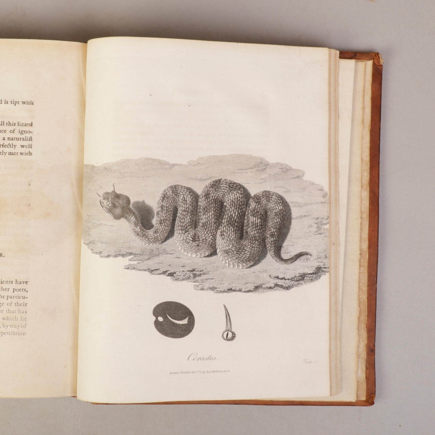 Travels to Discover the Source of the Nile by James Bruce