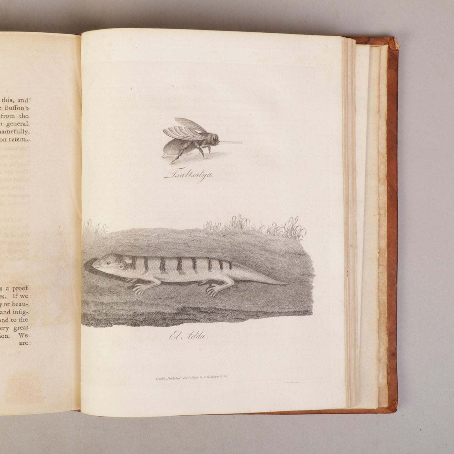 Travels to Discover the Source of the Nile by James Bruce
