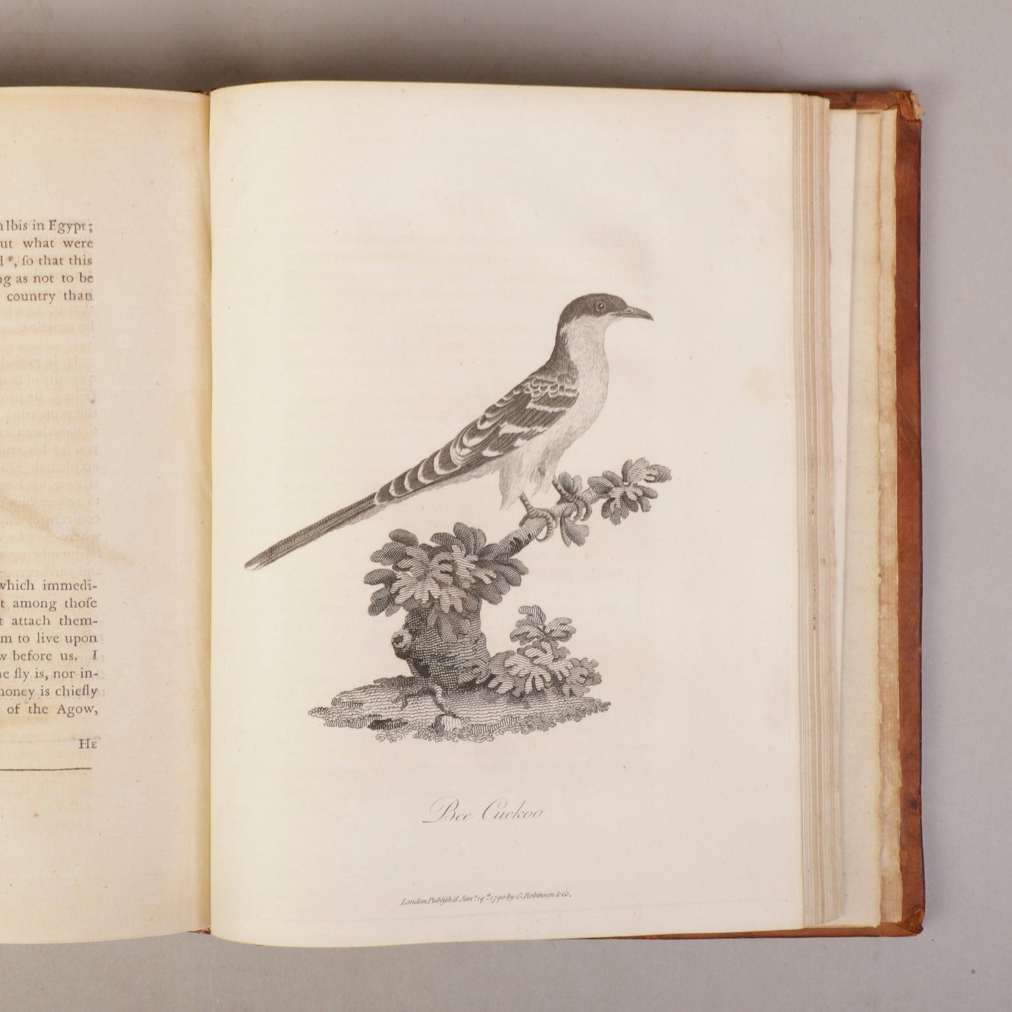 Travels to Discover the Source of the Nile by James Bruce