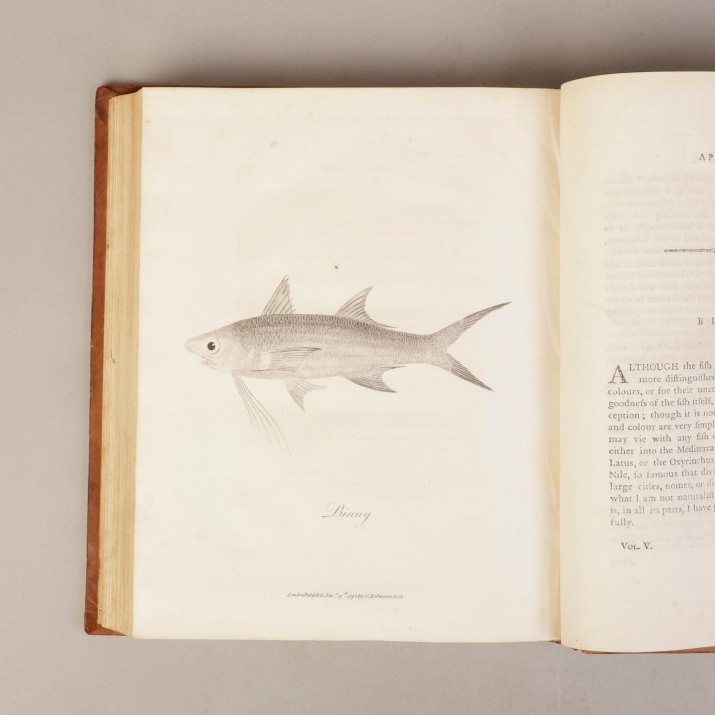 Travels to Discover the Source of the Nile by James Bruce