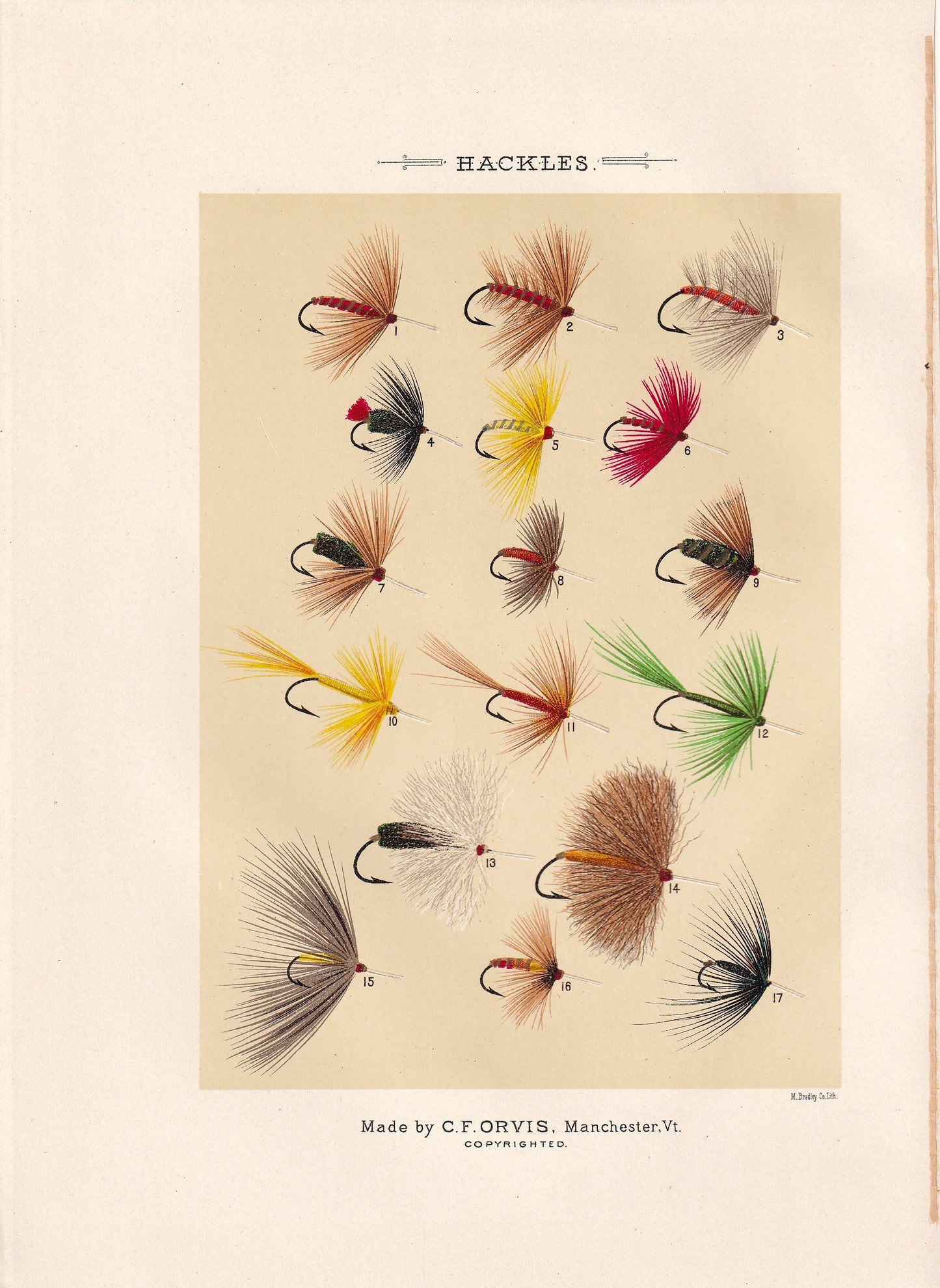 Hackles 1