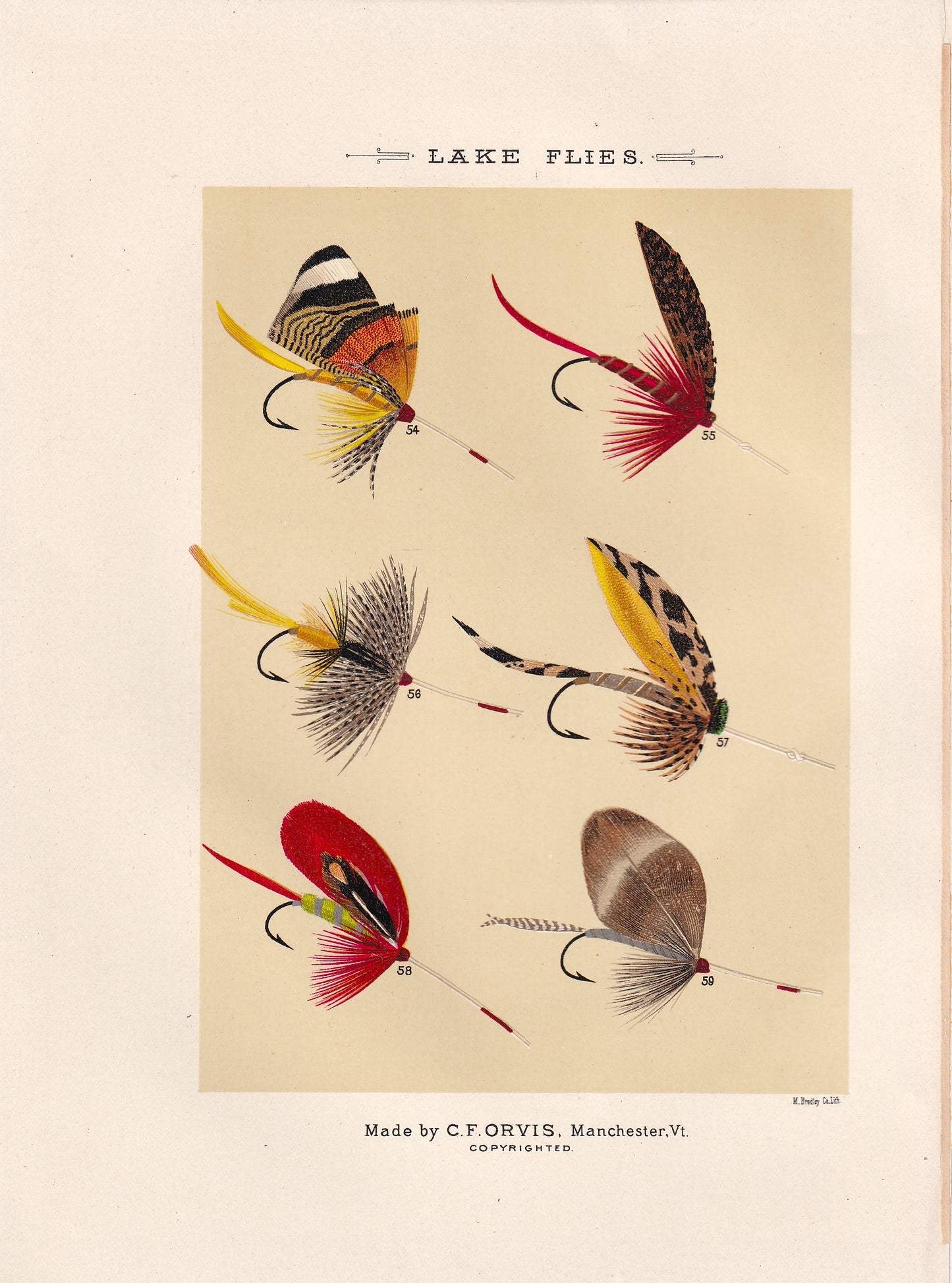 Lake Flies 54