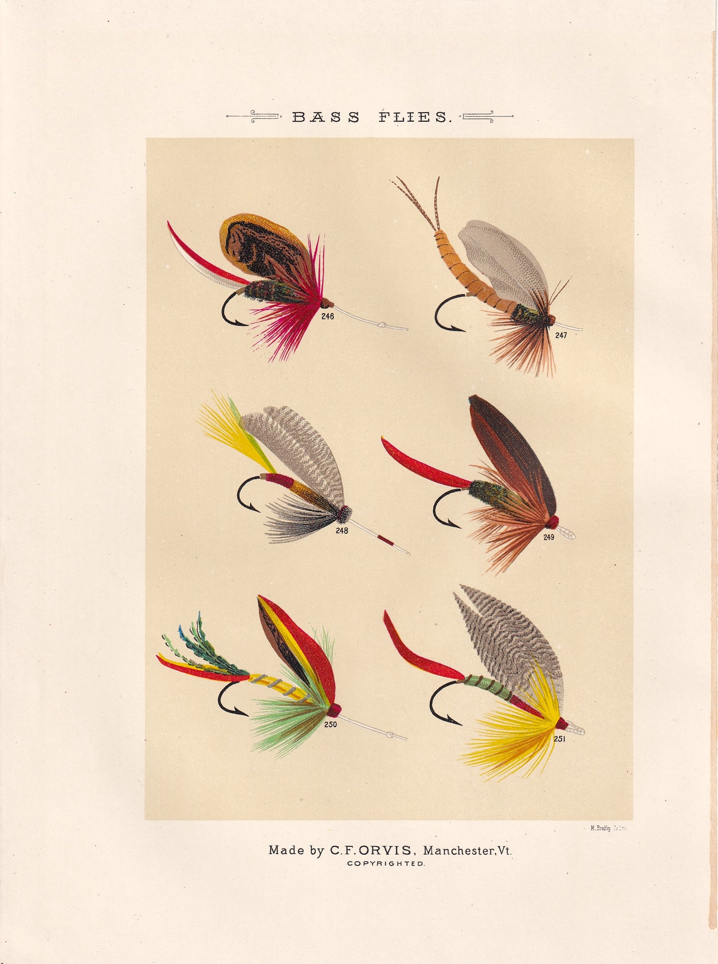 Bass Flies 246