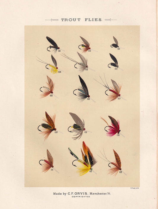 Trout Flies 99