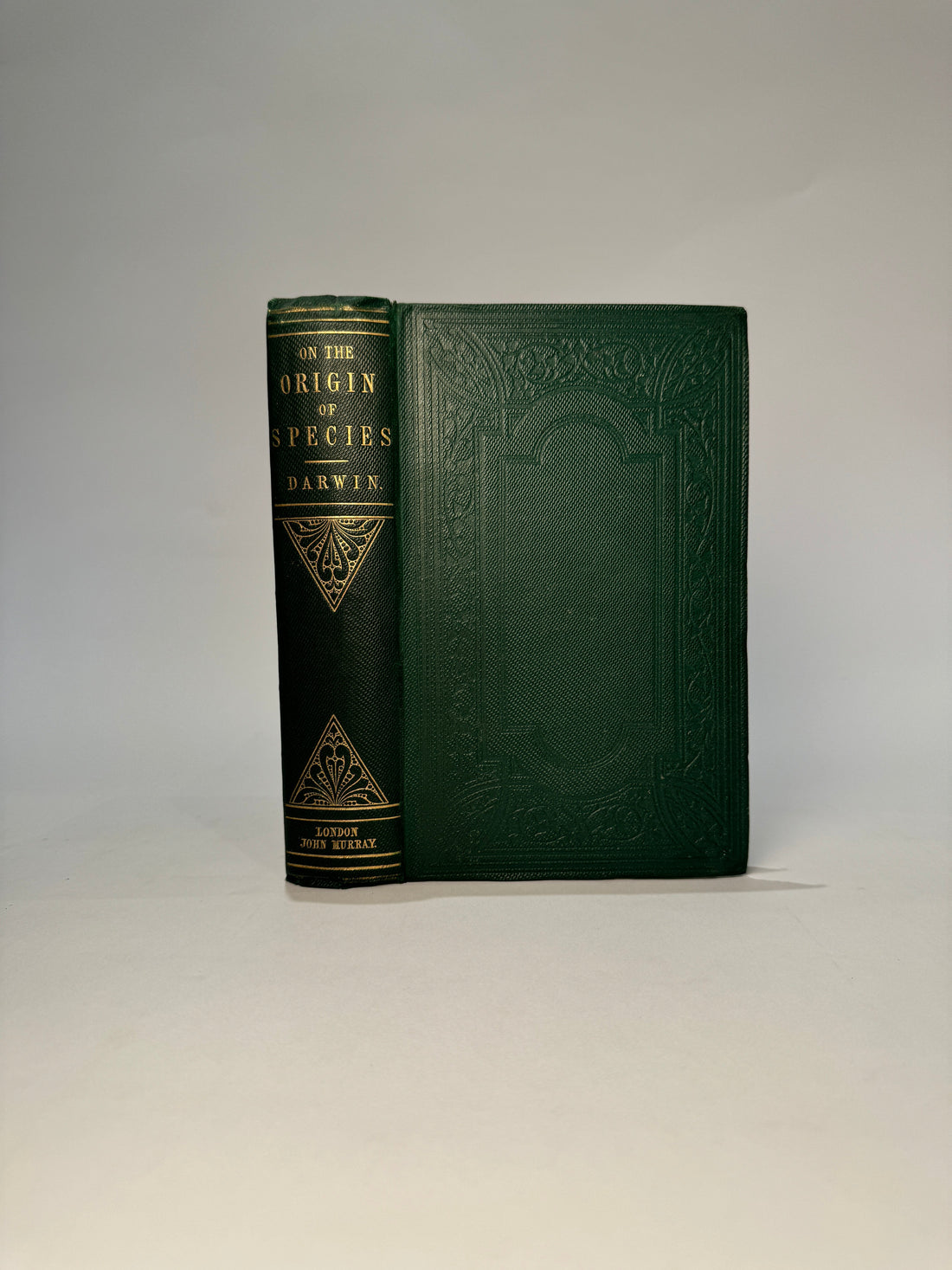 First Editions: A Collector's Passion and a Savvy Investor's Choice