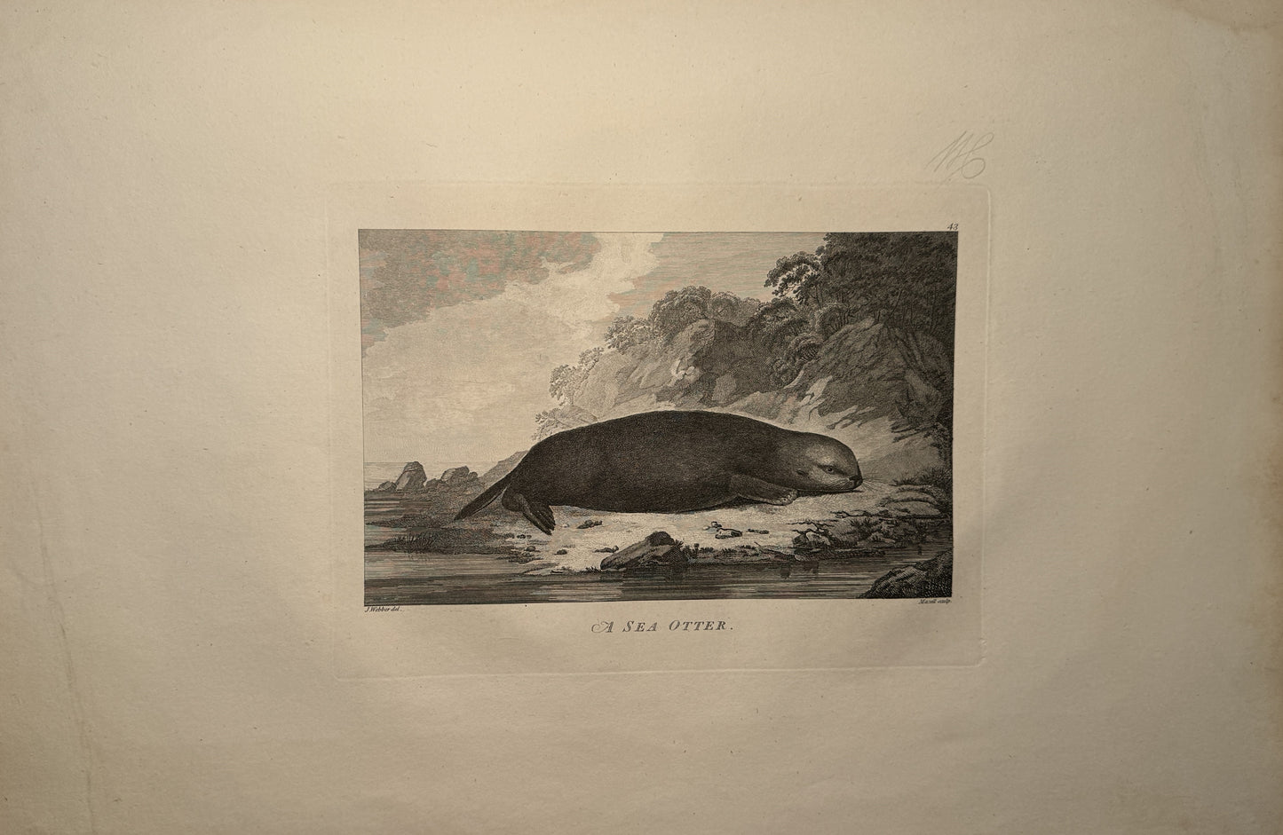 Captain Cook's Three Voyages: First Edition Set (1773-1784) with Atlas