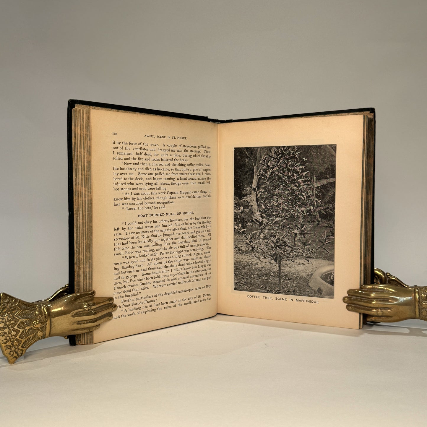 The Martinique Horror and St. Vincent Calamity – J. Martin Miller, 1902
