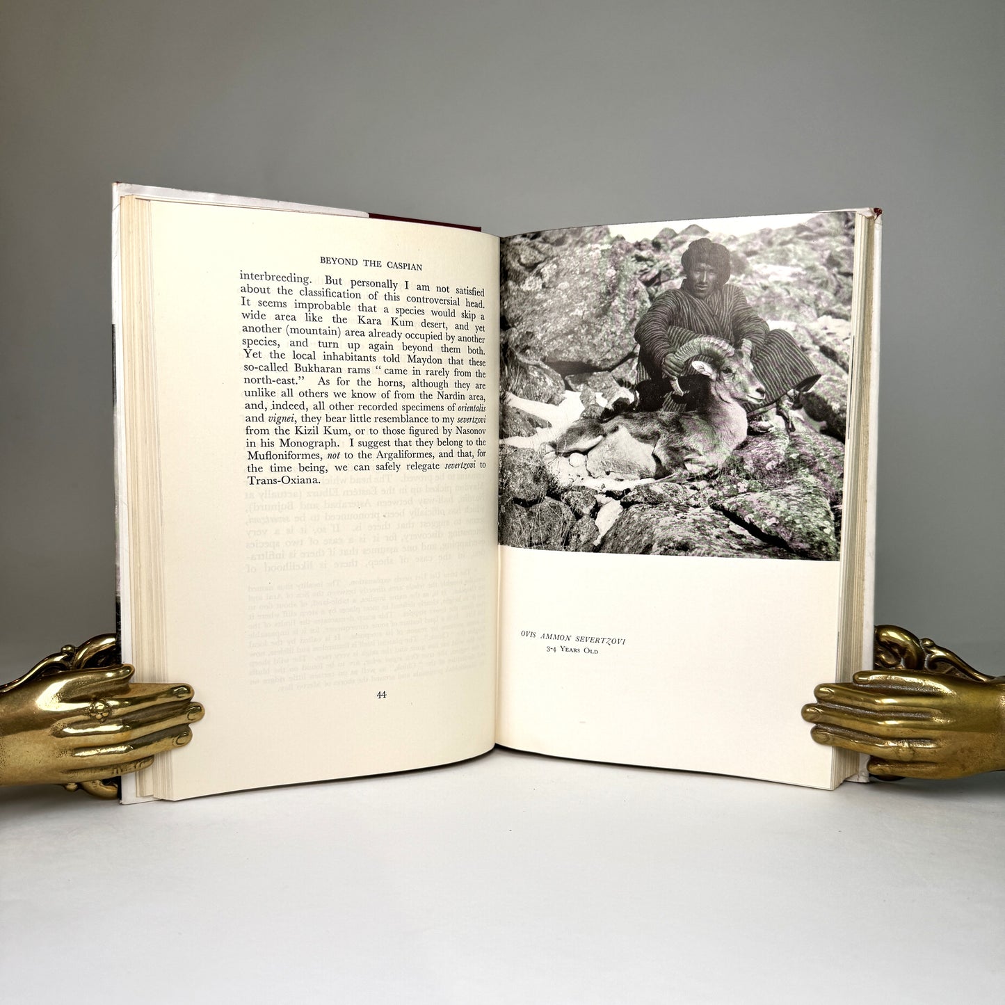 Beyond the Caspian - Presentation Copy from Carruthers to Air Marshal Portal