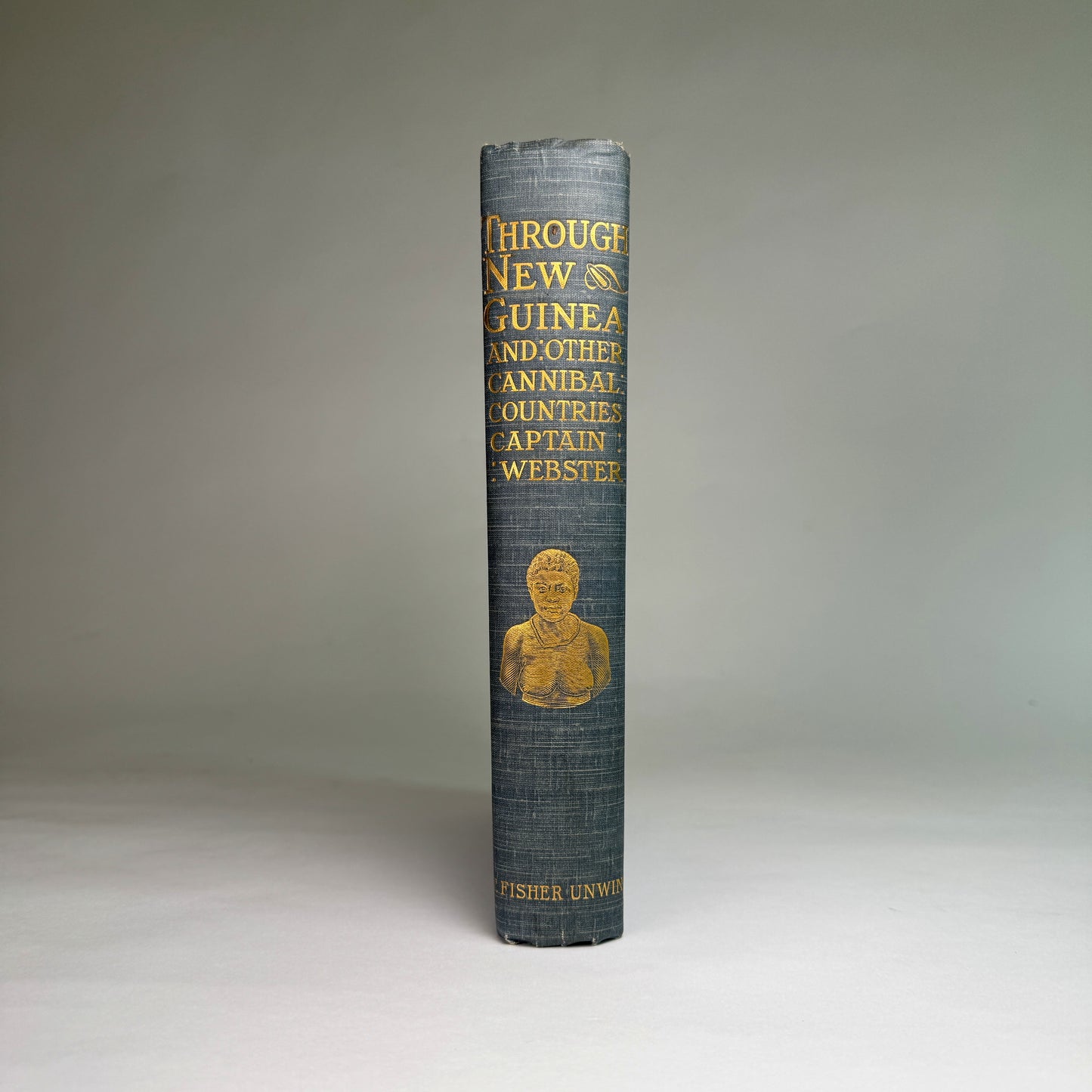 Through New Guinea and the Cannibal Countries - 1898, Captain Webster’s Adventurous Pacific Expedition Narrative