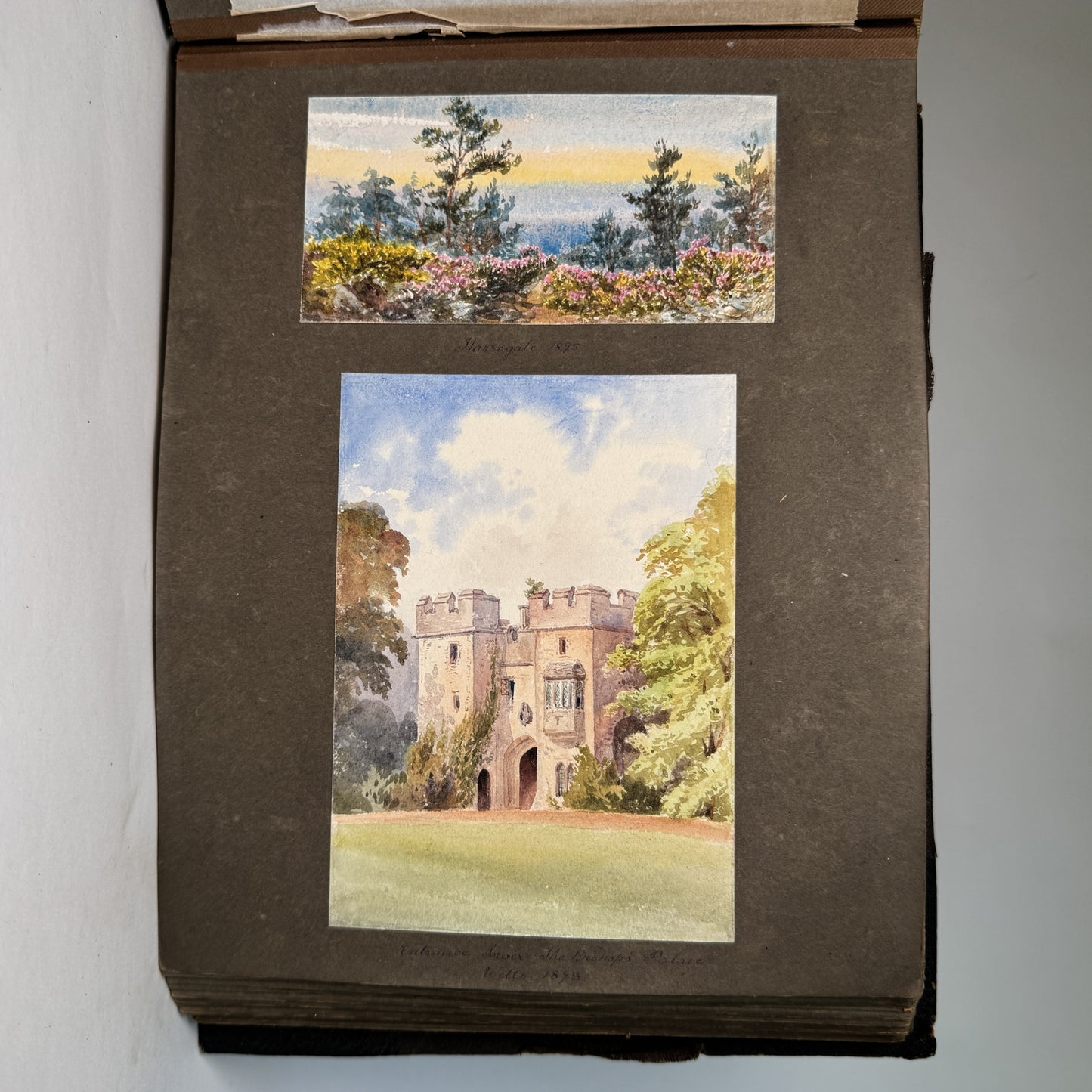 Victoria Lady Welby - Philosopher of Meaning and Queen Victoria’s Goddaughter, in 100 Original Watercolours