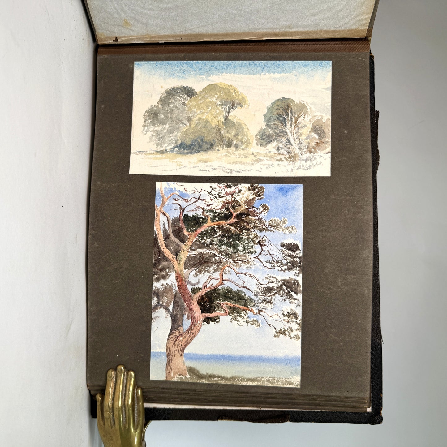 Victoria Lady Welby - Philosopher of Meaning and Queen Victoria’s Goddaughter, in 100 Original Watercolours