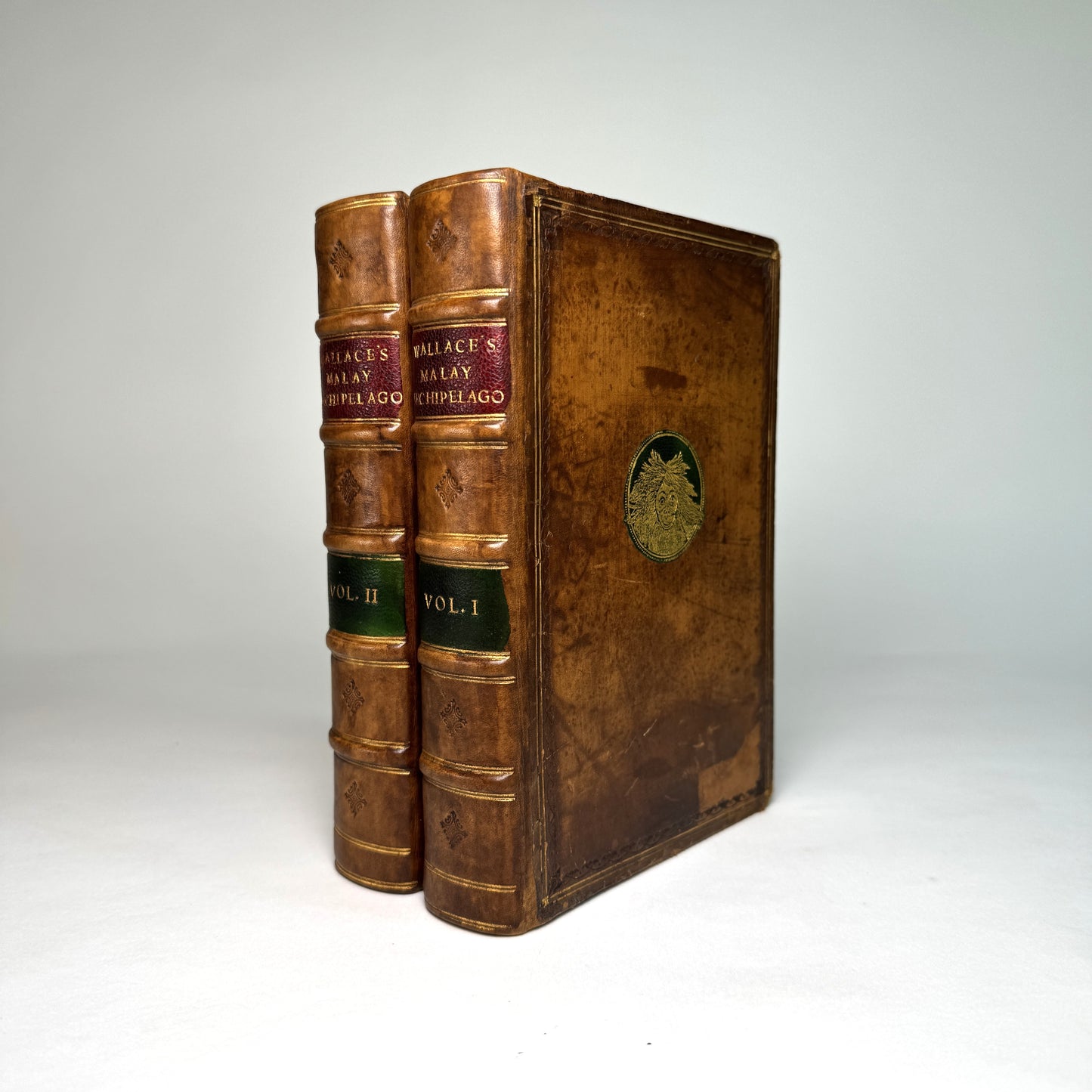 The Malay Archipelago - Wallace’s Landmark Journey Through Evolution’s Island World