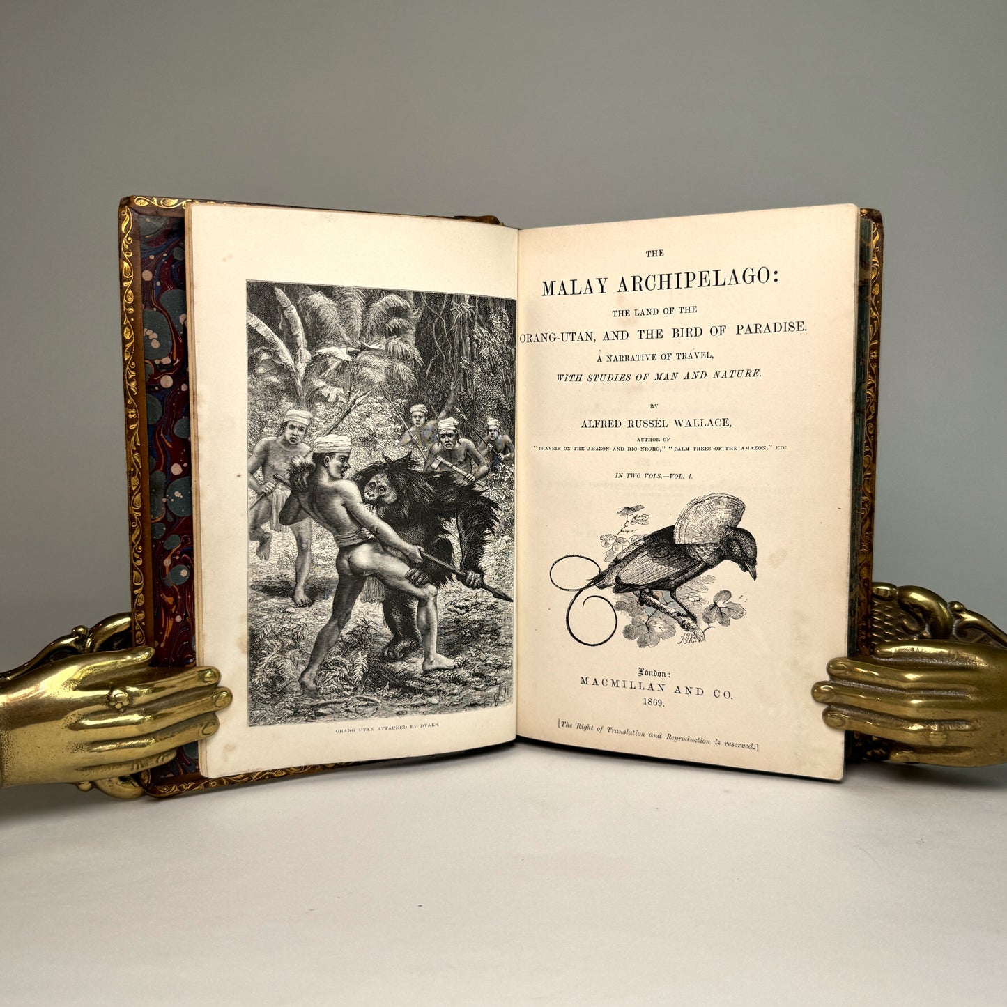 The Malay Archipelago - Wallace’s Landmark Journey Through Evolution’s Island World
