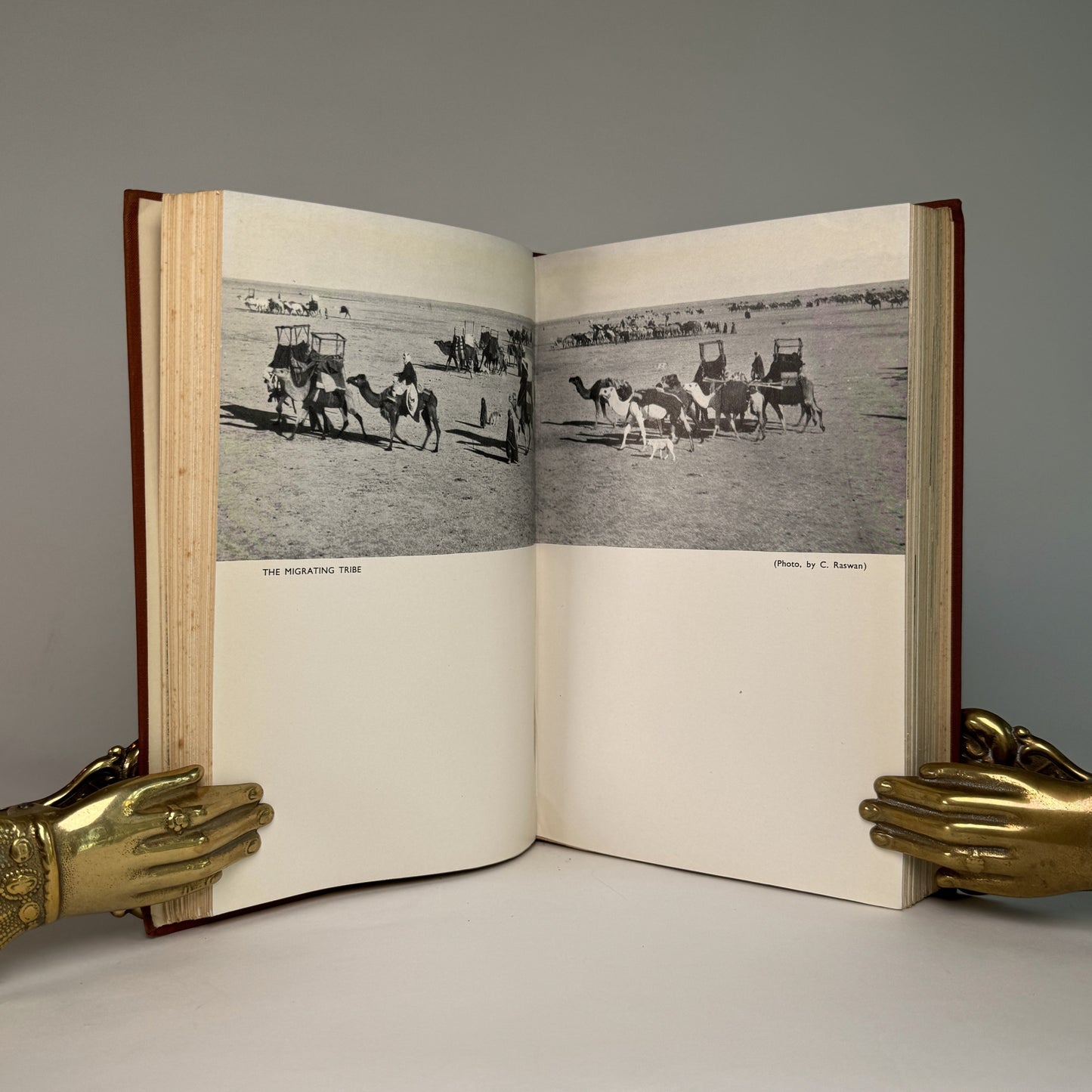 Arabian Adventure - Douglas Carruthers’s Oryx Expedition, Inscribed by the Author