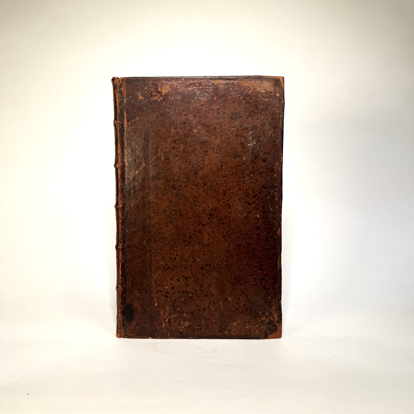 John Rea’s Flora - The Great Seventeenth-Century English Gardening Book