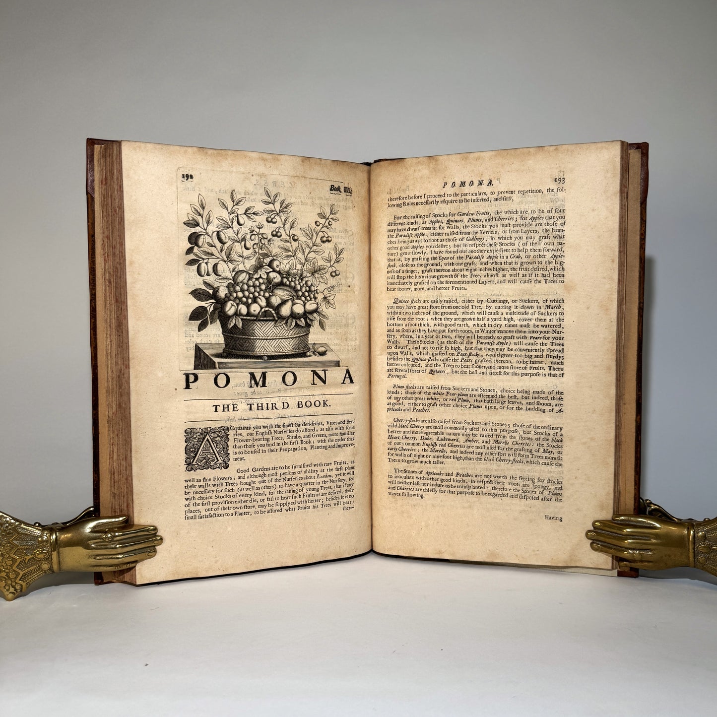John Rea’s Flora - The Great Seventeenth-Century English Gardening Book