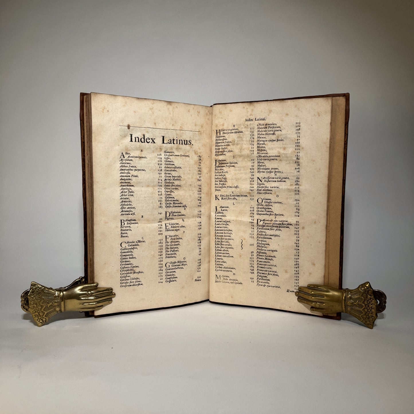 John Rea’s Flora - The Great Seventeenth-Century English Gardening Book