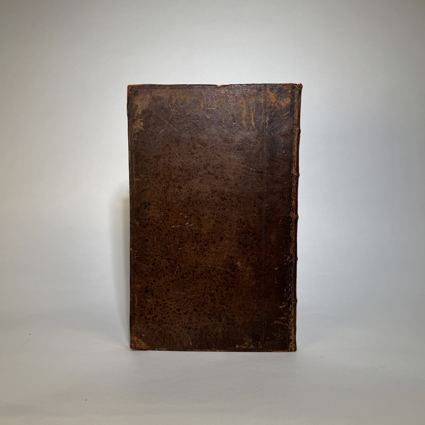 John Rea’s Flora - The Great Seventeenth-Century English Gardening Book