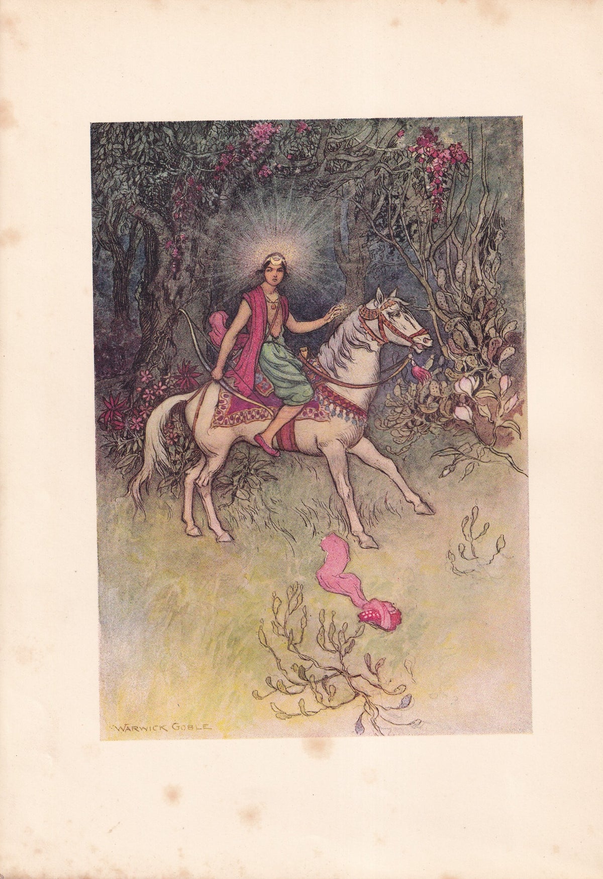 Warwick Goble colour print of a radiant young prince riding a white horse through a flowering forest.