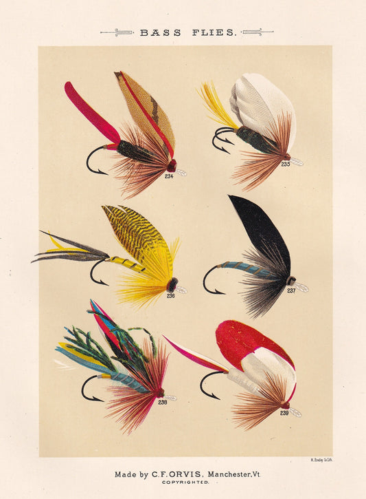Bass Flies 234