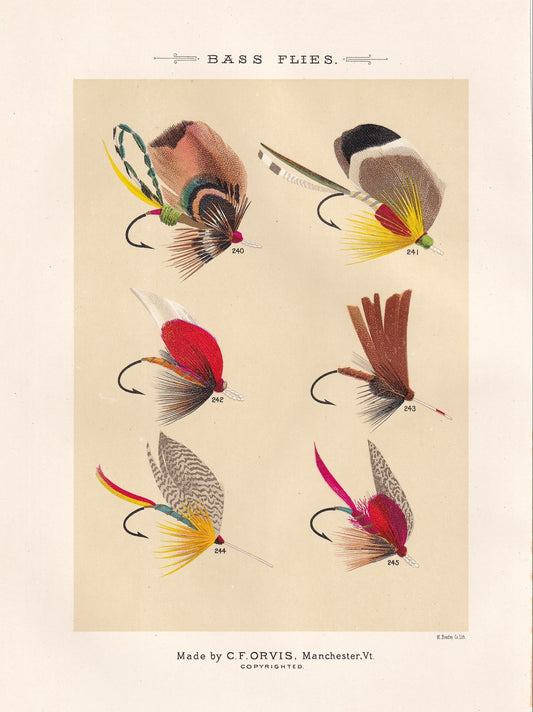 Bass Flies 240