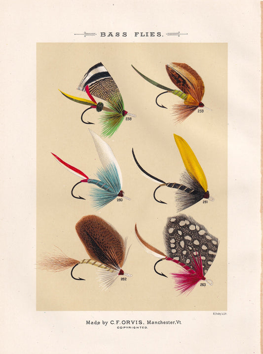 Bass Flies 258