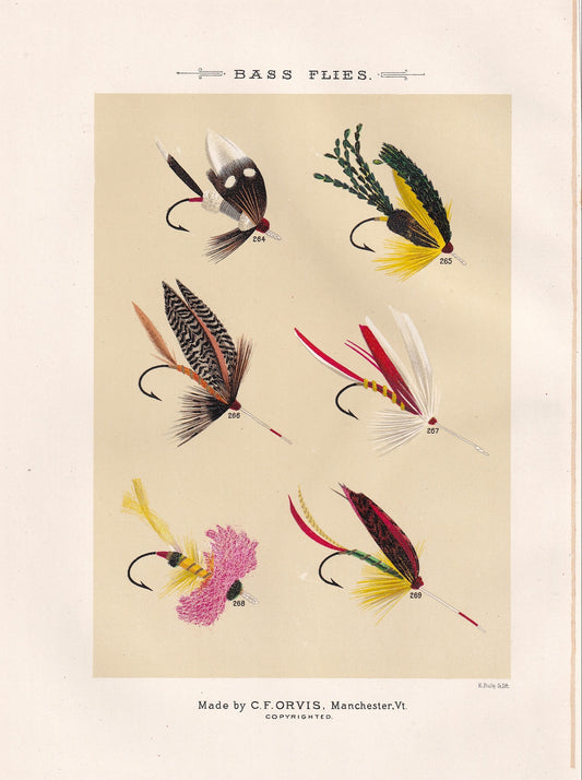 Bass Flies 264