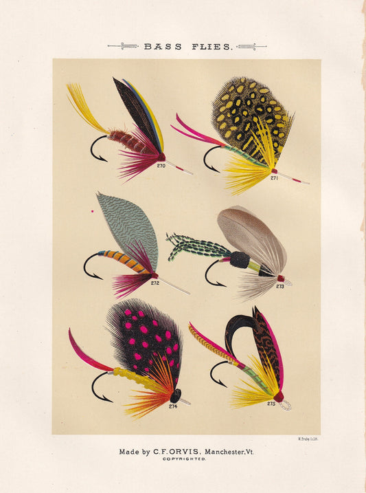 Bass Flies 270