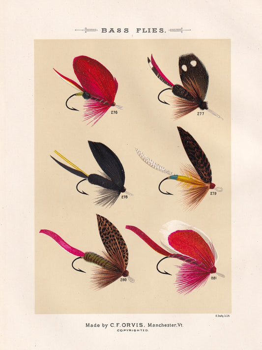 Bass Flies 276