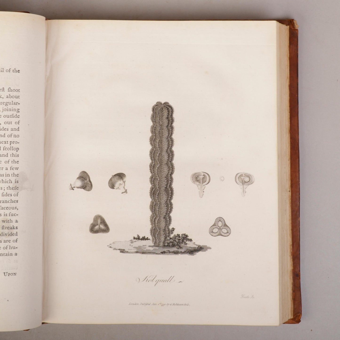 Travels to Discover the Source of the Nile by James Bruce
