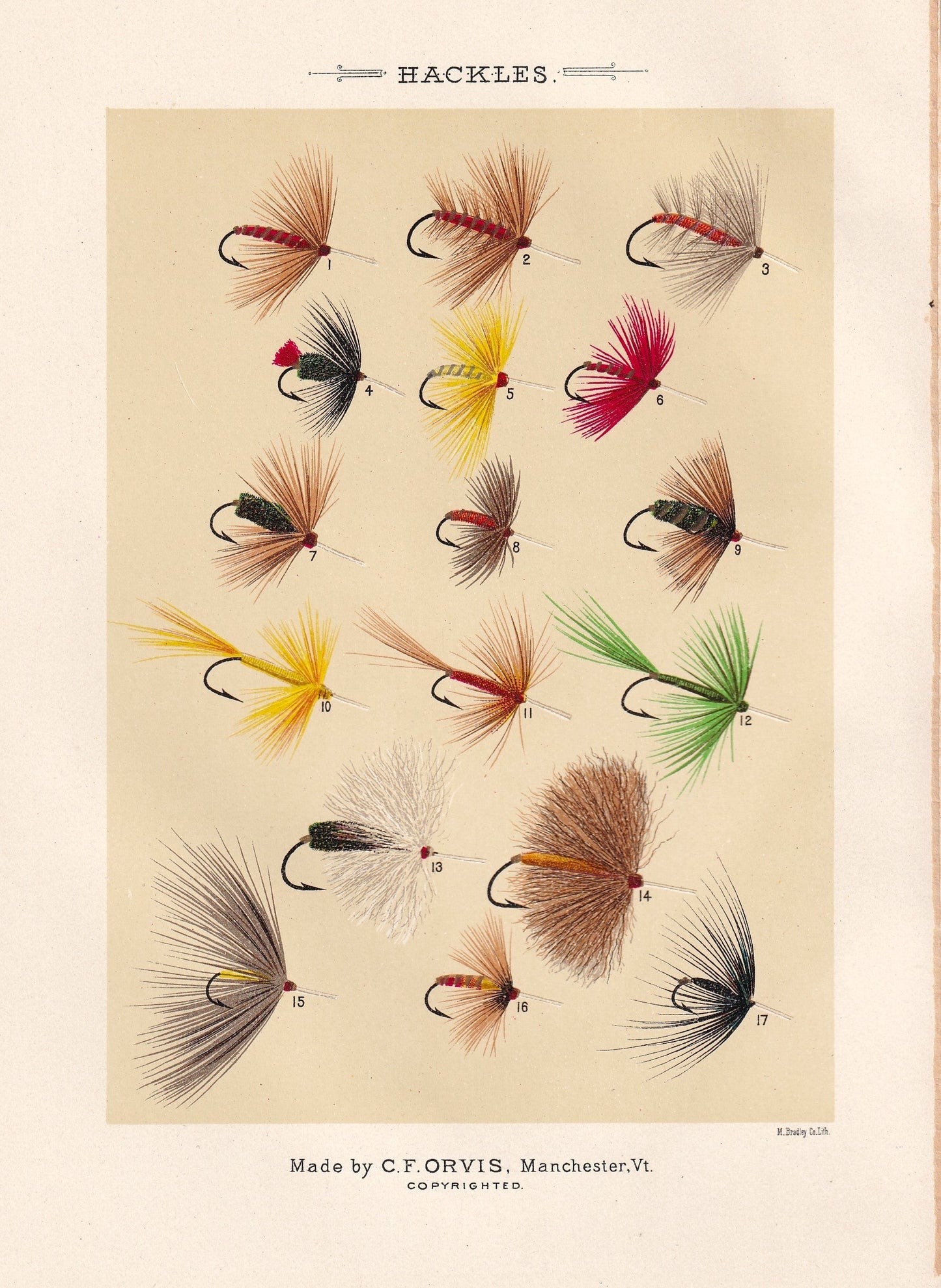 Hackles 1