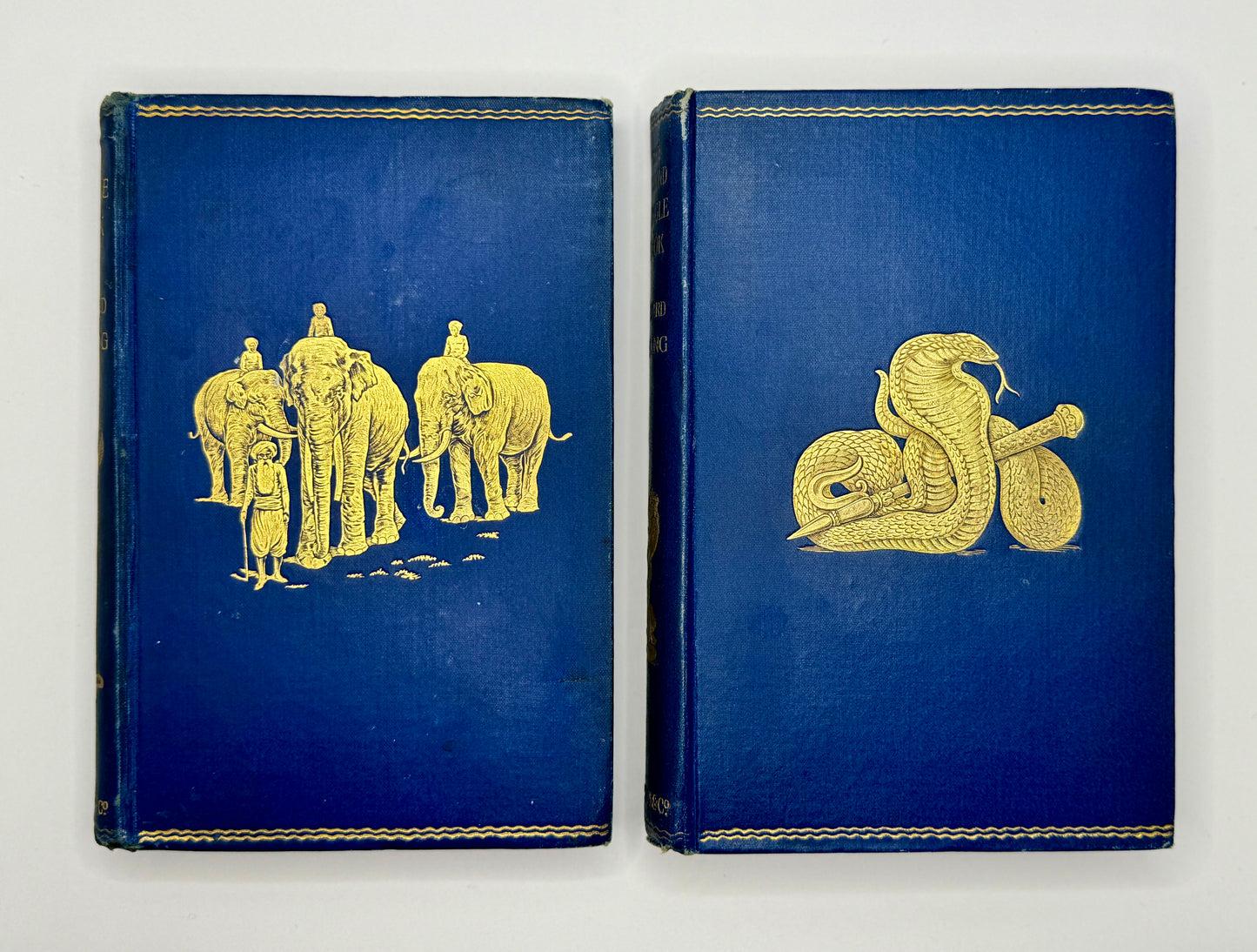 The Jungle Book and The Second Jungle Book by Rudyard Kipling