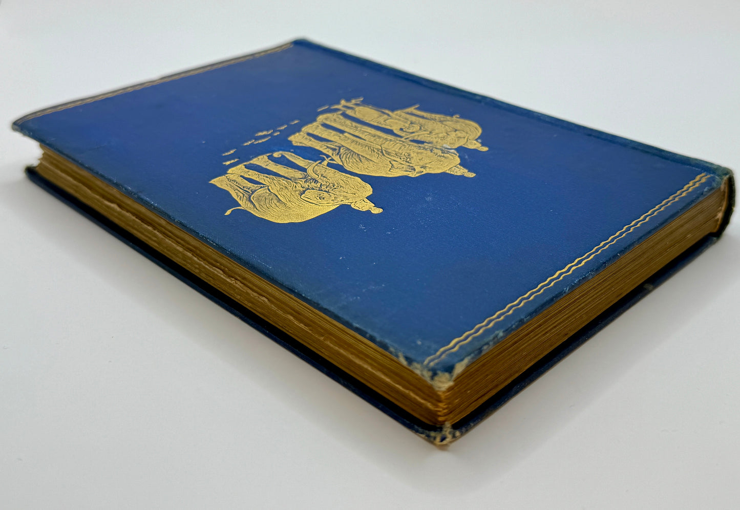 The Jungle Book and The Second Jungle Book by Rudyard Kipling
