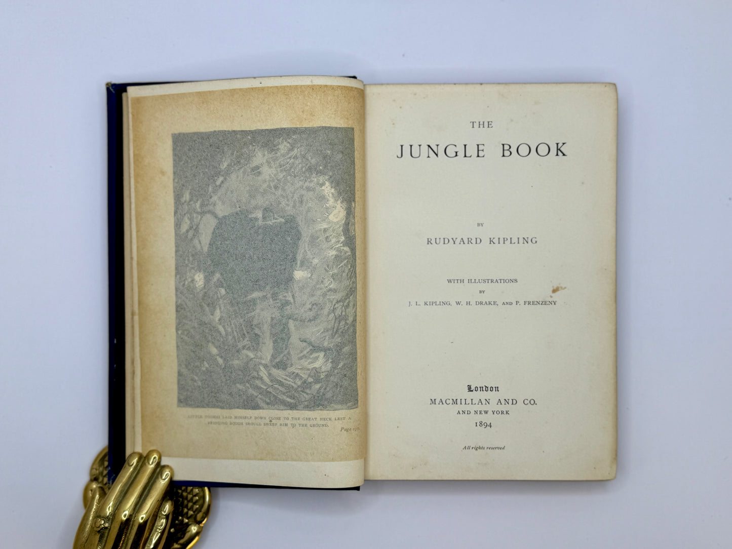 The Jungle Book and The Second Jungle Book by Rudyard Kipling