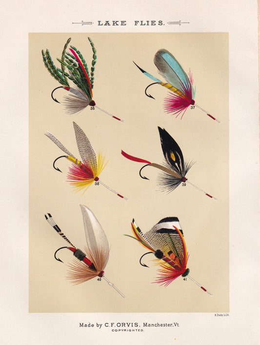 Lake Flies 36