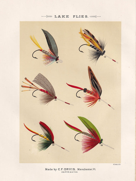 Lake Flies 48