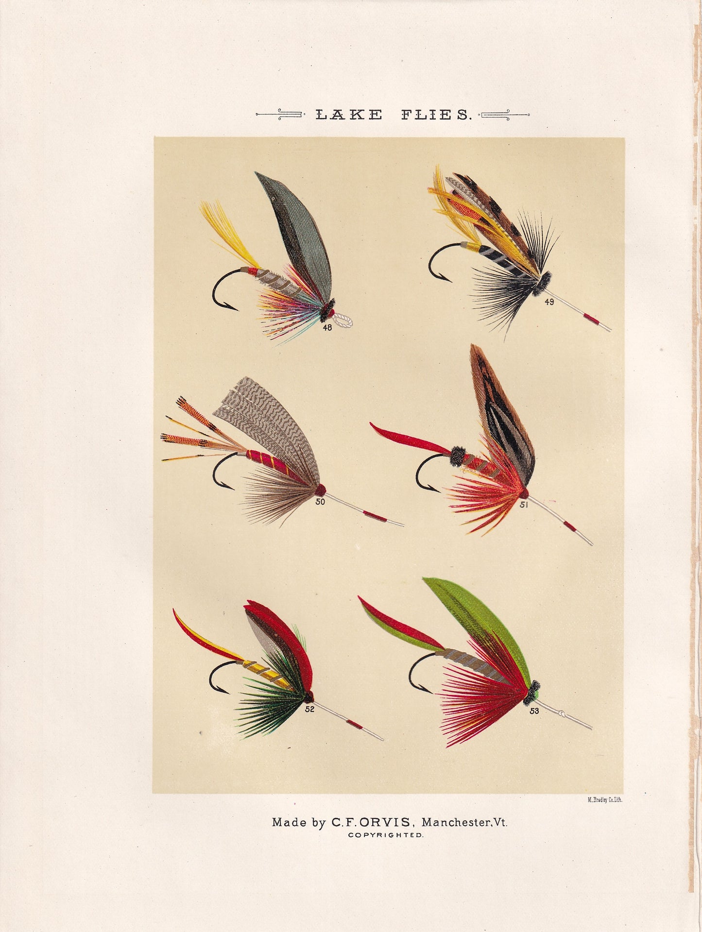 Lake Flies 48