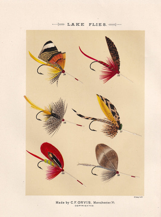 Lake Flies 54