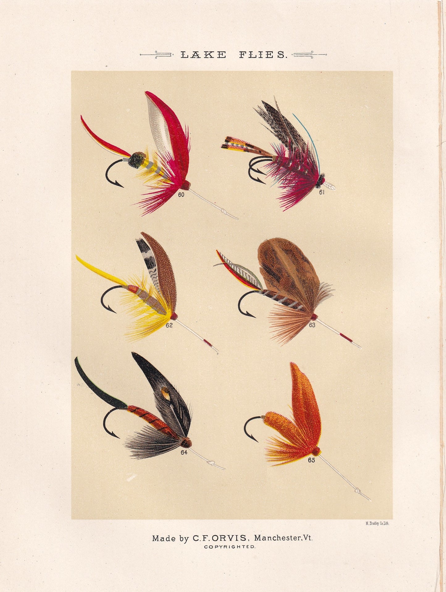 Lake Flies 60